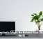 Houseplants Might Be Behind Your Sluggish Wi-Fi
